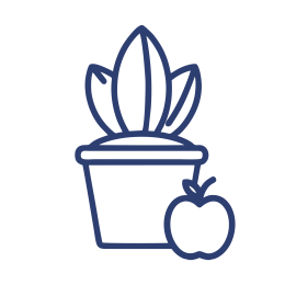 Растения и фрукты