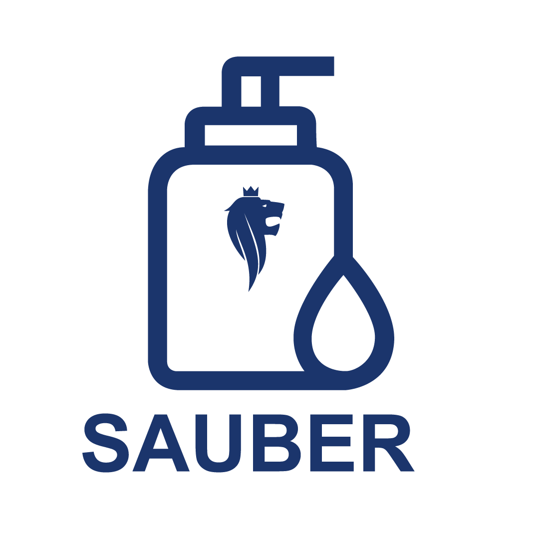5.10.01 серия SAUBER